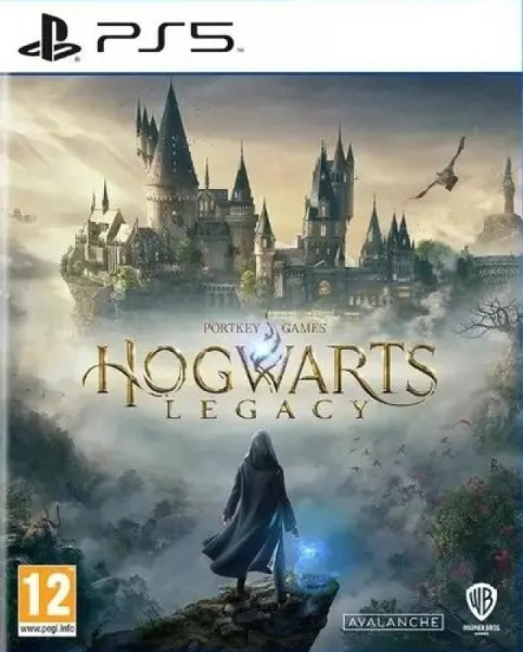 Диск PS5 Hogwarts Legacy